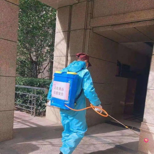安全大過天 防寒防疫兩不誤 以“防疫健康包”為抓手，全力守護業主健康安全